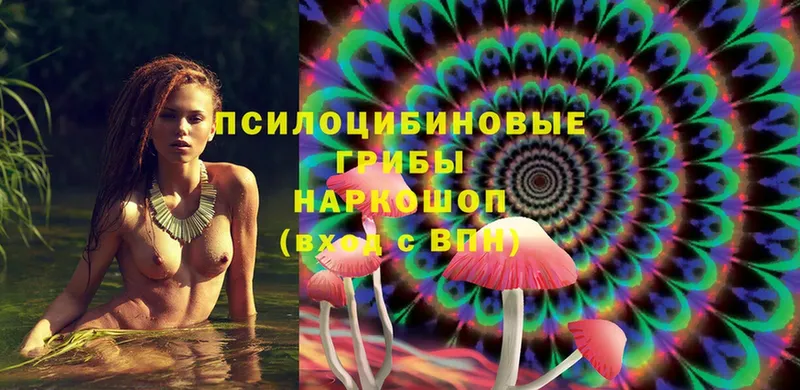 Галлюциногенные грибы Magic Shrooms  как найти закладки  Качканар 